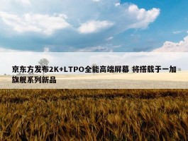 京东方发布2K+LTPO全能高端屏幕 将搭载于一加旗舰系列新品