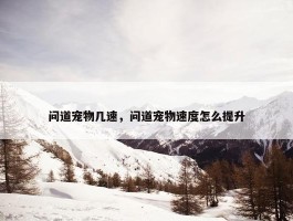 问道宠物几速，问道宠物速度怎么提升