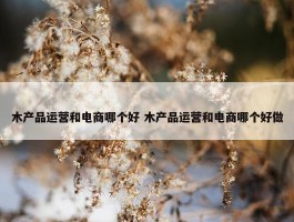 木产品运营和电商哪个好 木产品运营和电商哪个好做