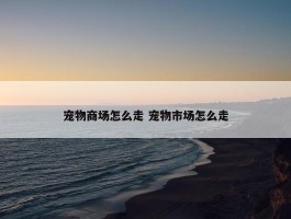 宠物商场怎么走 宠物市场怎么走