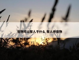 宠物可以帮人干什么 帮人养宠物