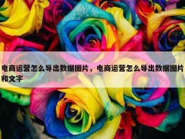 电商运营怎么导出数据图片，电商运营怎么导出数据图片和文字