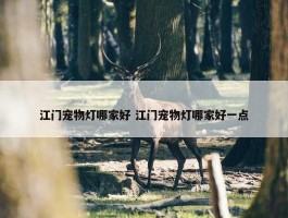 江门宠物灯哪家好 江门宠物灯哪家好一点