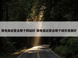 做电商运营去哪个网站好 做电商运营去哪个城市发展好