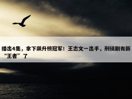 播出4集，拿下飙升榜冠军！王志文一出手，刑侦剧有新“王者”了