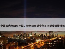 中国加大电动车补贴，特斯拉有望今年首次季度销量增长