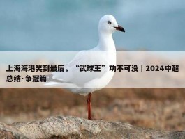 上海海港笑到最后，“武球王”功不可没｜2024中超总结·争冠篇