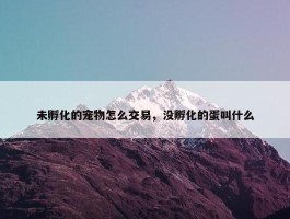 未孵化的宠物怎么交易，没孵化的蛋叫什么