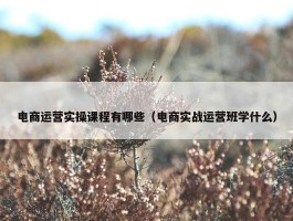 电商运营实操课程有哪些（电商实战运营班学什么）