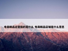 电商精品运营指的是什么 电商精品店铺是什么意思