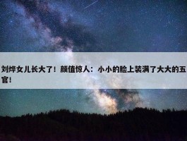 刘烨女儿长大了！颜值惊人：小小的脸上装满了大大的五官！