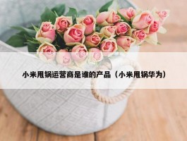 小米甩锅运营商是谁的产品（小米甩锅华为）