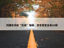 刘强东又给“兄弟”加薪，京东官宣全员20薪