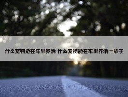 什么宠物能在车里养活 什么宠物能在车里养活一辈子