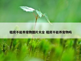 租房不能养宠物图片大全 租房不能养宠物吗