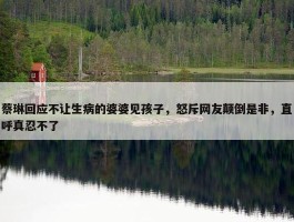 蔡琳回应不让生病的婆婆见孩子，怒斥网友颠倒是非，直呼真忍不了