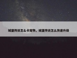 城堡传说怎么卡宠物，城堡传说怎么快速升级