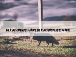 网上买宠物是怎么寄的 网上买宠物狗是怎么寄的