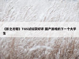 《影之刃零》TGS试玩获好评 国产游戏的下一个大学生