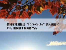 英特尔计划推出“3D V-Cache”类大缓存 CPU，但仅限于服务器产品