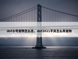 dnf小号宠物怎么选，dnf2021平民怎么弄宠物