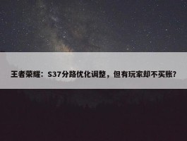 王者荣耀：S37分路优化调整，但有玩家却不买账？