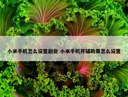 小米手机怎么设置副业 小米手机开辅助要怎么设置