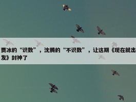 贾冰的“识数”，沈腾的“不识数”，让这期《现在就出发》封神了