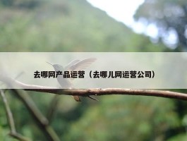 去哪网产品运营（去哪儿网运营公司）