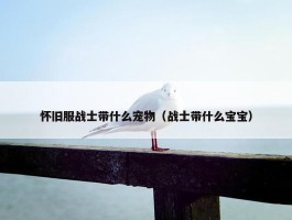 怀旧服战士带什么宠物（战士带什么宝宝）