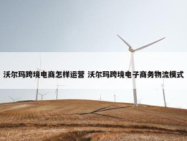 沃尔玛跨境电商怎样运营 沃尔玛跨境电子商务物流模式