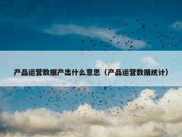 产品运营数据产出什么意思（产品运营数据统计）