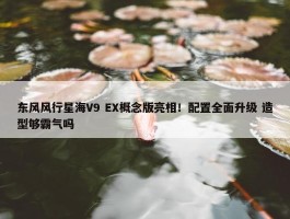 东风风行星海V9 EX概念版亮相！配置全面升级 造型够霸气吗