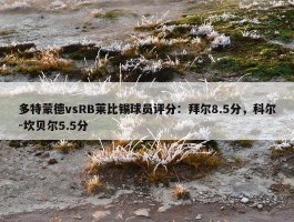 多特蒙德vsRB莱比锡球员评分：拜尔8.5分，科尔-坎贝尔5.5分