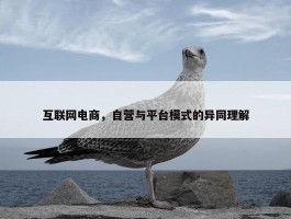 互联网电商，自营与平台模式的异同理解