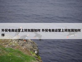 外贸电商运营上班氛围如何 外贸电商运营上班氛围如何样