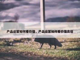 产品运营如何看价值，产品运营如何看价值高低