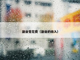 副业党花费（副业的收入）