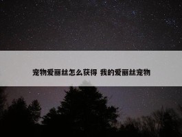 宠物爱丽丝怎么获得 我的爱丽丝宠物