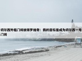 切尔西外租门将彼得罗维奇：我的目标是成为切尔西一号门将