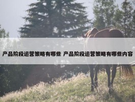 产品阶段运营策略有哪些 产品阶段运营策略有哪些内容