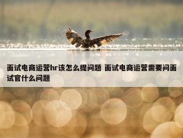 面试电商运营hr该怎么提问题 面试电商运营需要问面试官什么问题