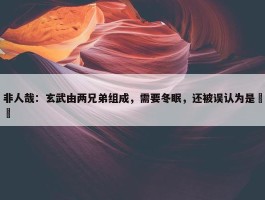 非人哉：玄武由两兄弟组成，需要冬眠，还被误认为是赑屃