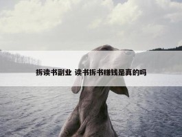 拆读书副业 读书拆书赚钱是真的吗