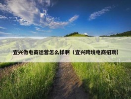 宜兴做电商运营怎么样啊（宜兴跨境电商招聘）