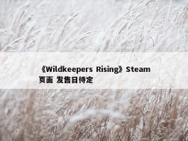 《Wildkeepers Rising》Steam页面 发售日待定