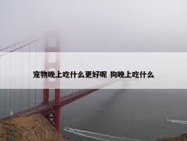 宠物晚上吃什么更好呢 狗晚上吃什么