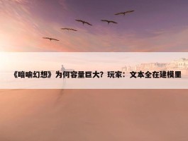 《暗喻幻想》为何容量巨大？玩家：文本全在建模里