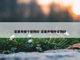 家里养哪个宠物好 家里养哪种宠物好