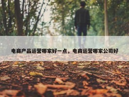 电商产品运营哪家好一点，电商运营哪家公司好